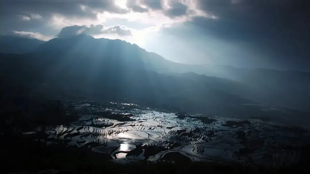 长线叙事首映之夜